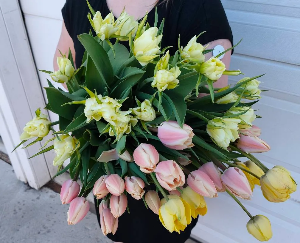 Flowers of your life, kuva 5